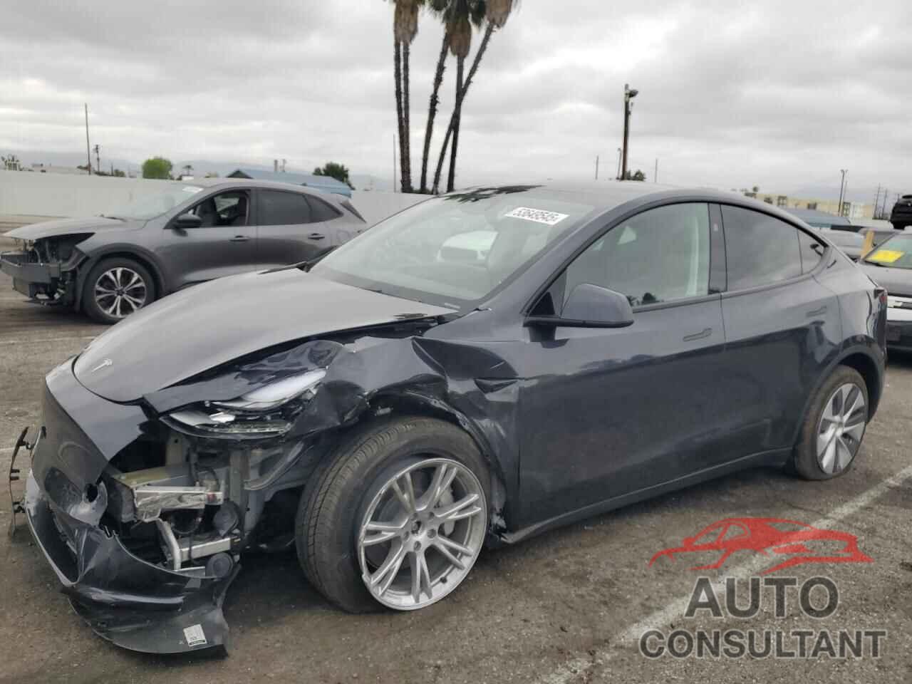 TESLA MODEL Y 2024 - 7SAYGDEEXRF071427