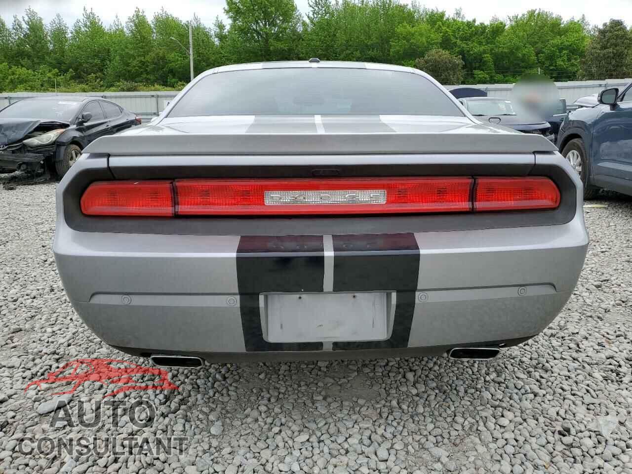 DODGE CHALLENGER 2014 - 2C3CDYAG0EH111439