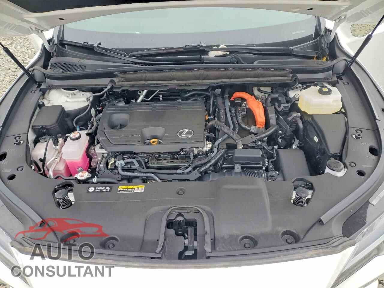 LEXUS UNKNOWN 2025 - 2T2BBMCA2SC095213