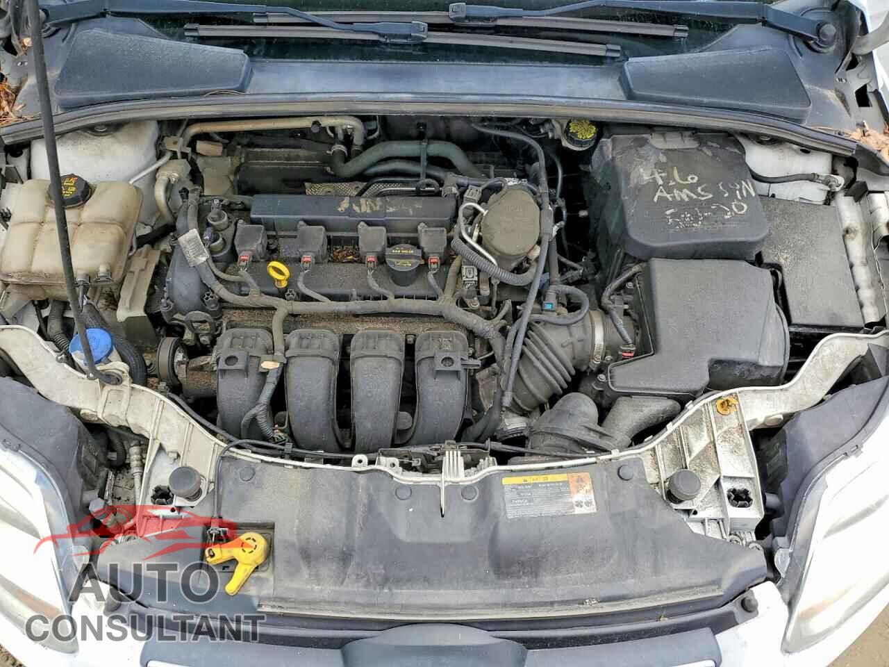 FORD FOCUS 2014 - 1FADP3F29EL106496