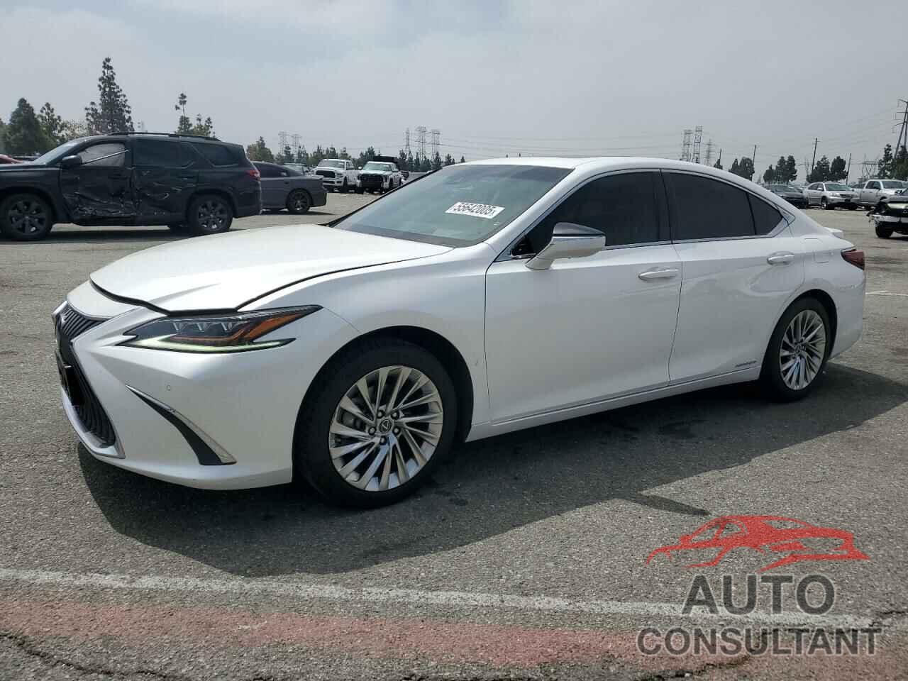 LEXUS ES300 2021 - 58AEA1C18MU006497
