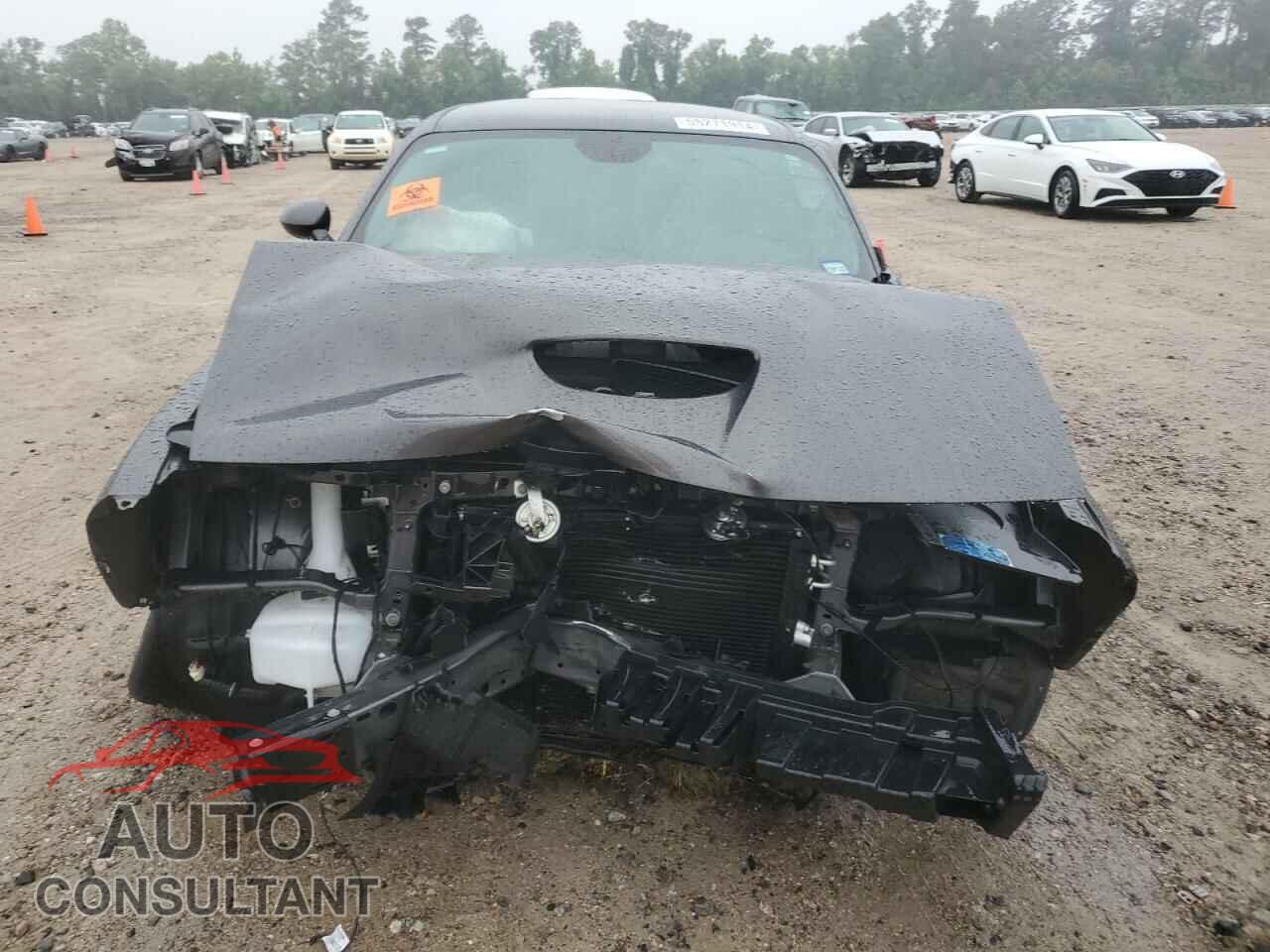 DODGE CHALLENGER 2023 - 2C3CDZBT0PH630155