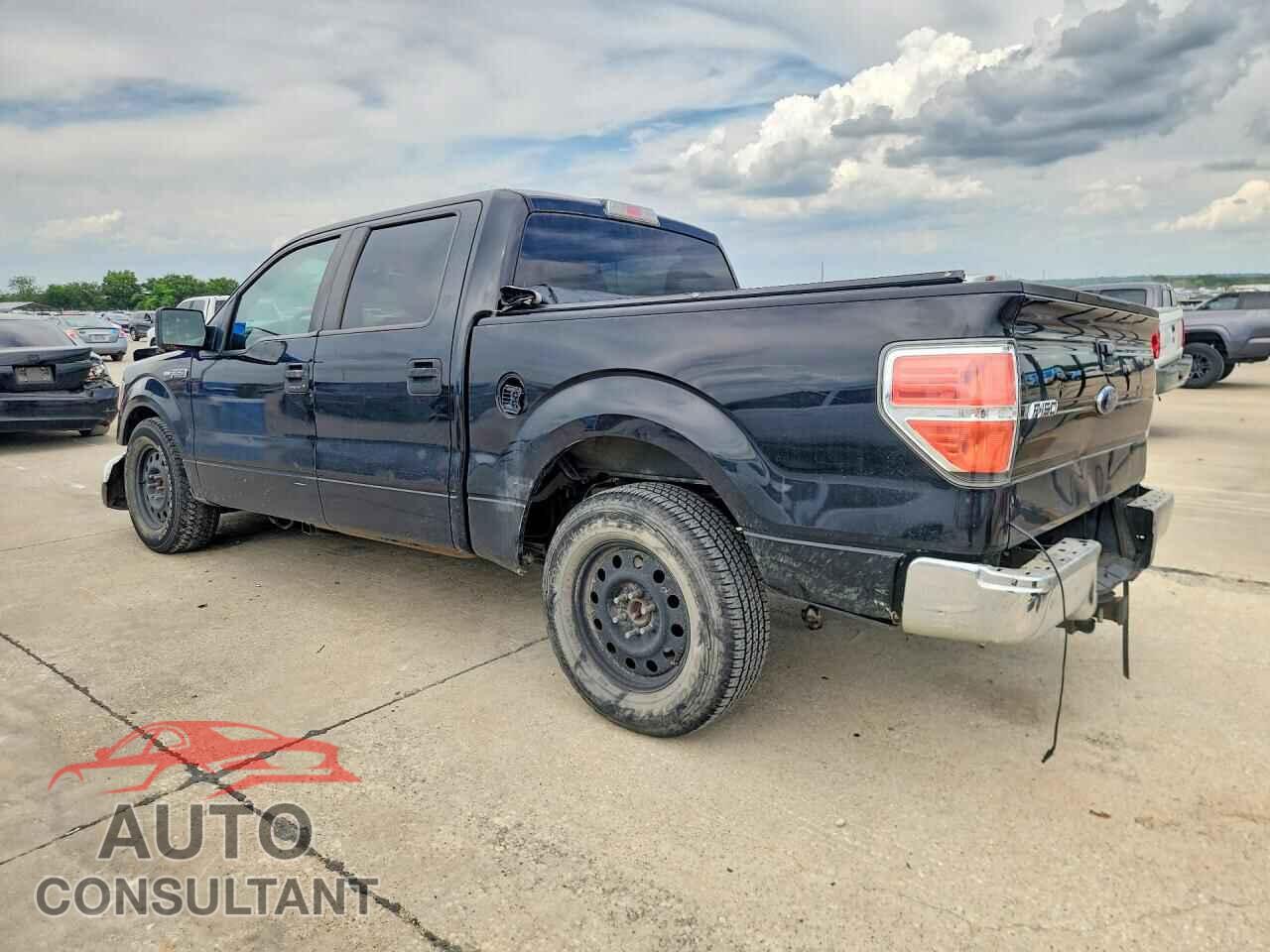 FORD All Models 2010 - 1FTEW1C83AFD17829