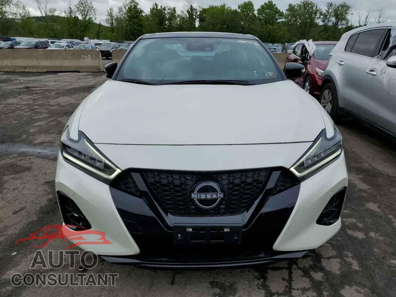 NISSAN MAXIMA 2023 - 1N4AA6EV7PC505900