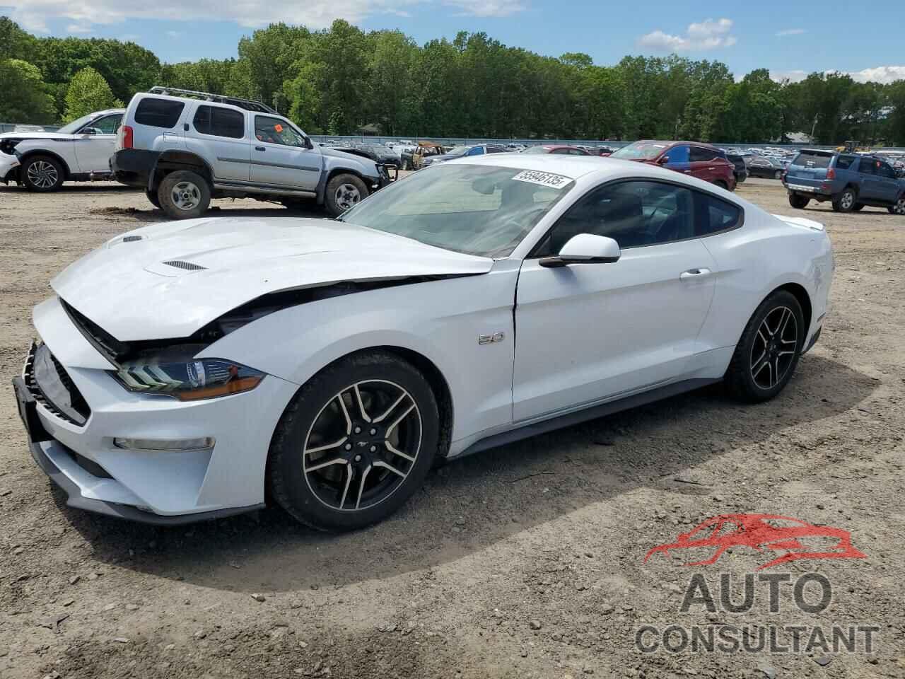 FORD MUSTANG 2019 - 1FA6P8CF1K5151669