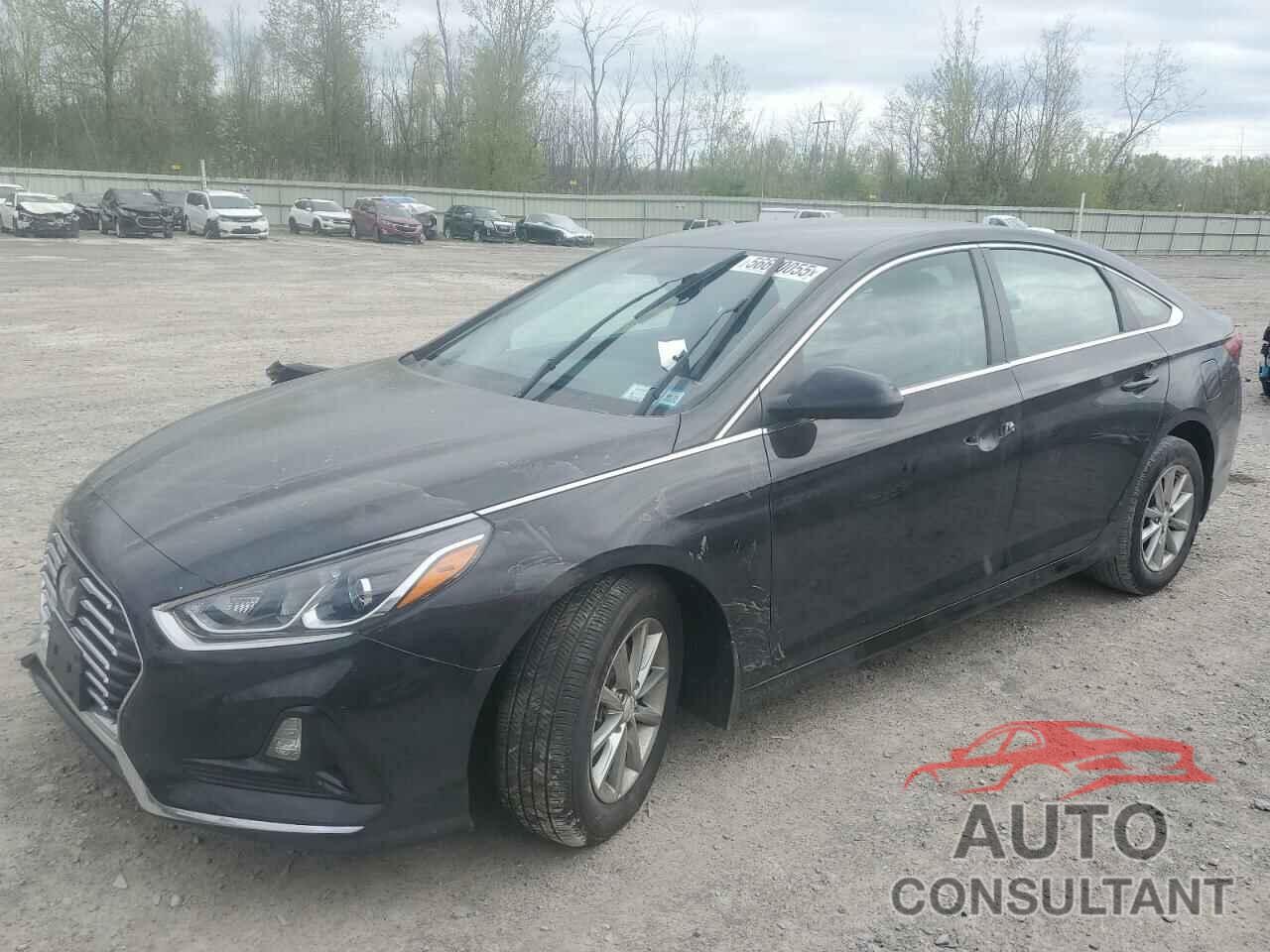 HYUNDAI SONATA 2019 - 5NPE24AF5KH801054