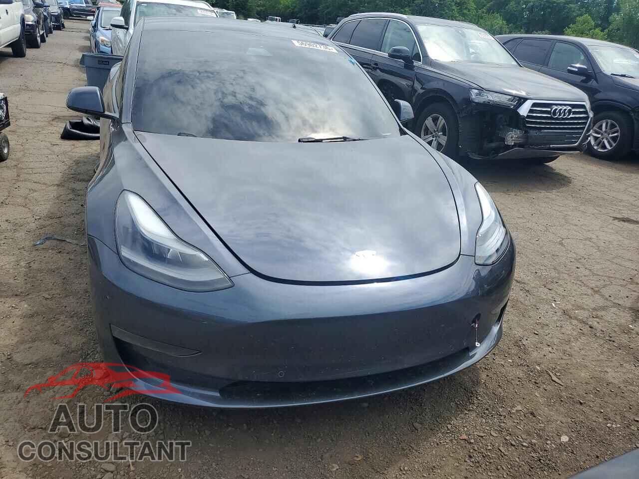TESLA MODEL 3 2021 - 5YJ3E1EC0MF093116