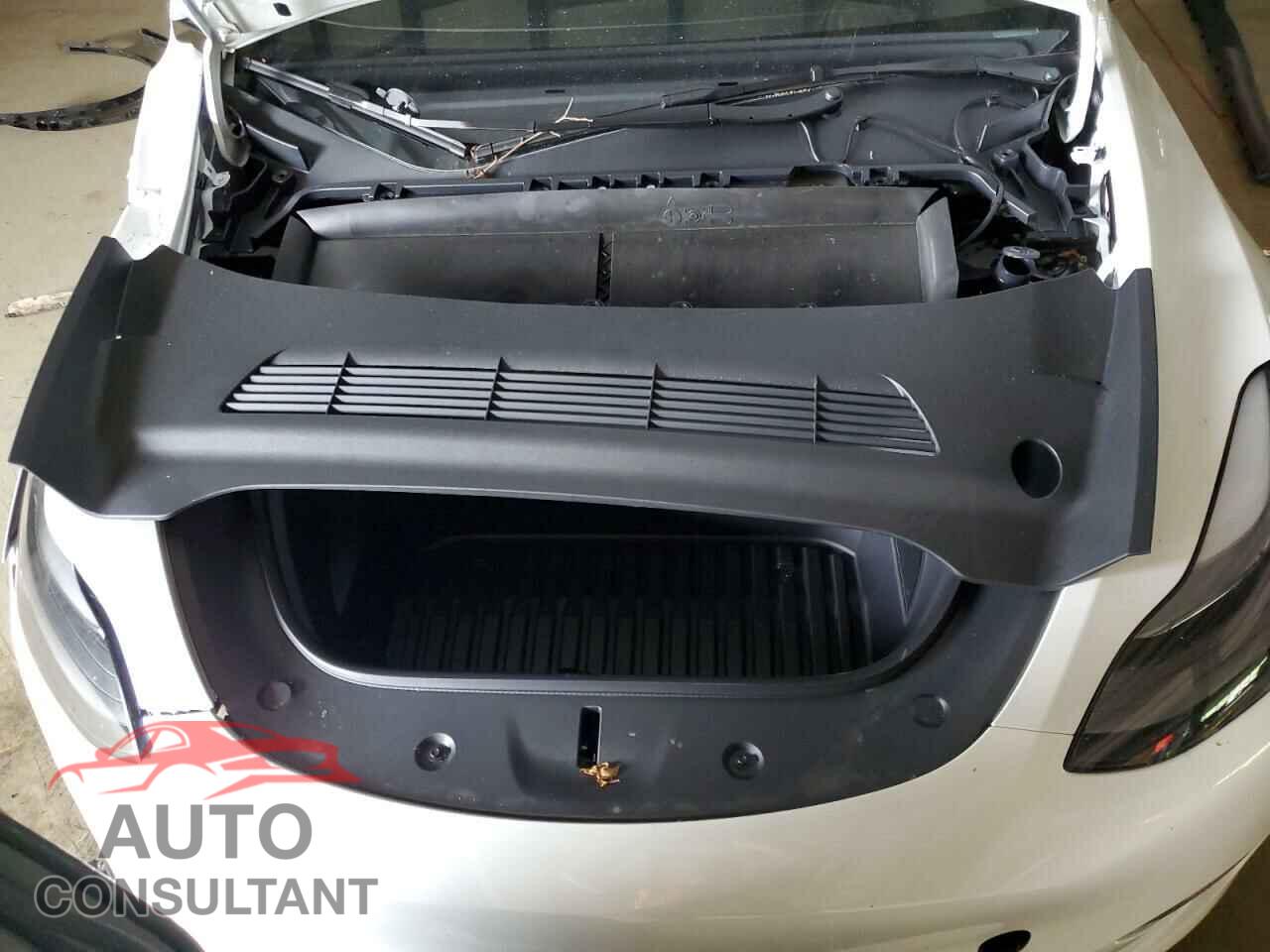 TESLA MODEL Y 2024 - 7SAYGDEE6RF060344