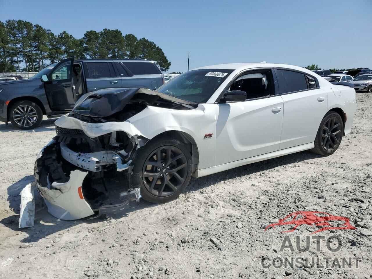 DODGE CHARGER 2019 - 2C3CDXCT5KH666046