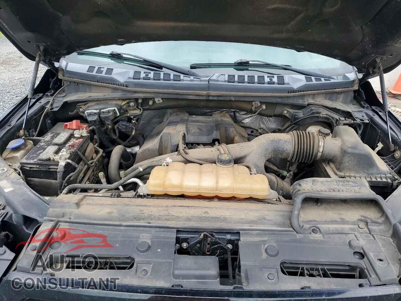 FORD F150 2017 - 1FTEW1EP0HFA18054