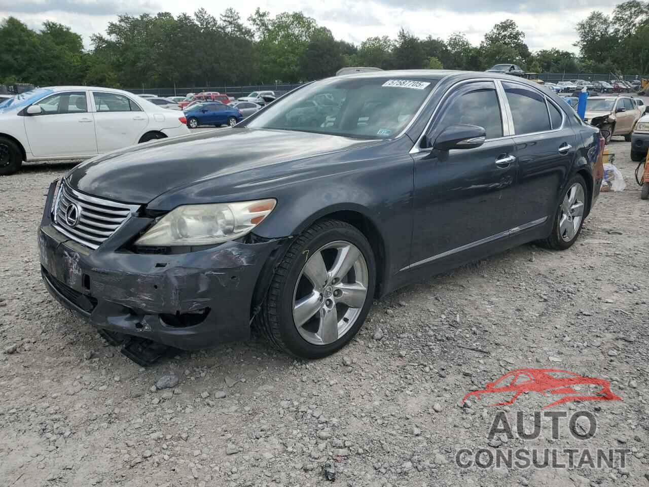 LEXUS LS460 2010 - JTHBL5EF4A5100955