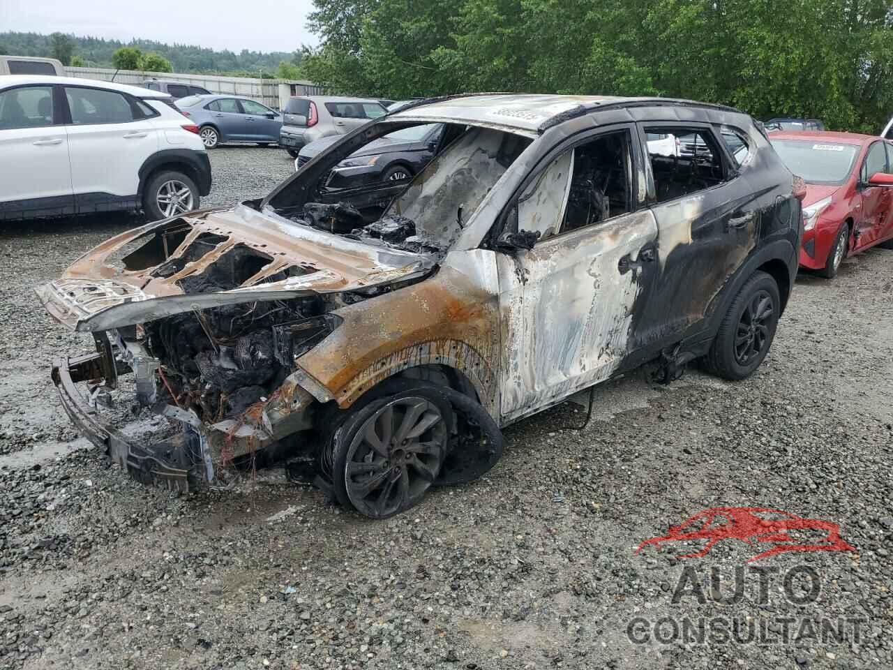 HYUNDAI TUCSON 2016 - KM8J3CA42GU257187