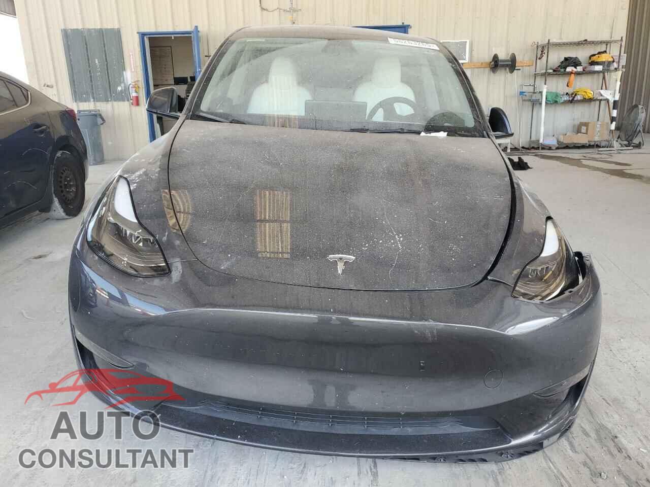 TESLA MODEL Y 2024 - 7SAYGDED3RF044335
