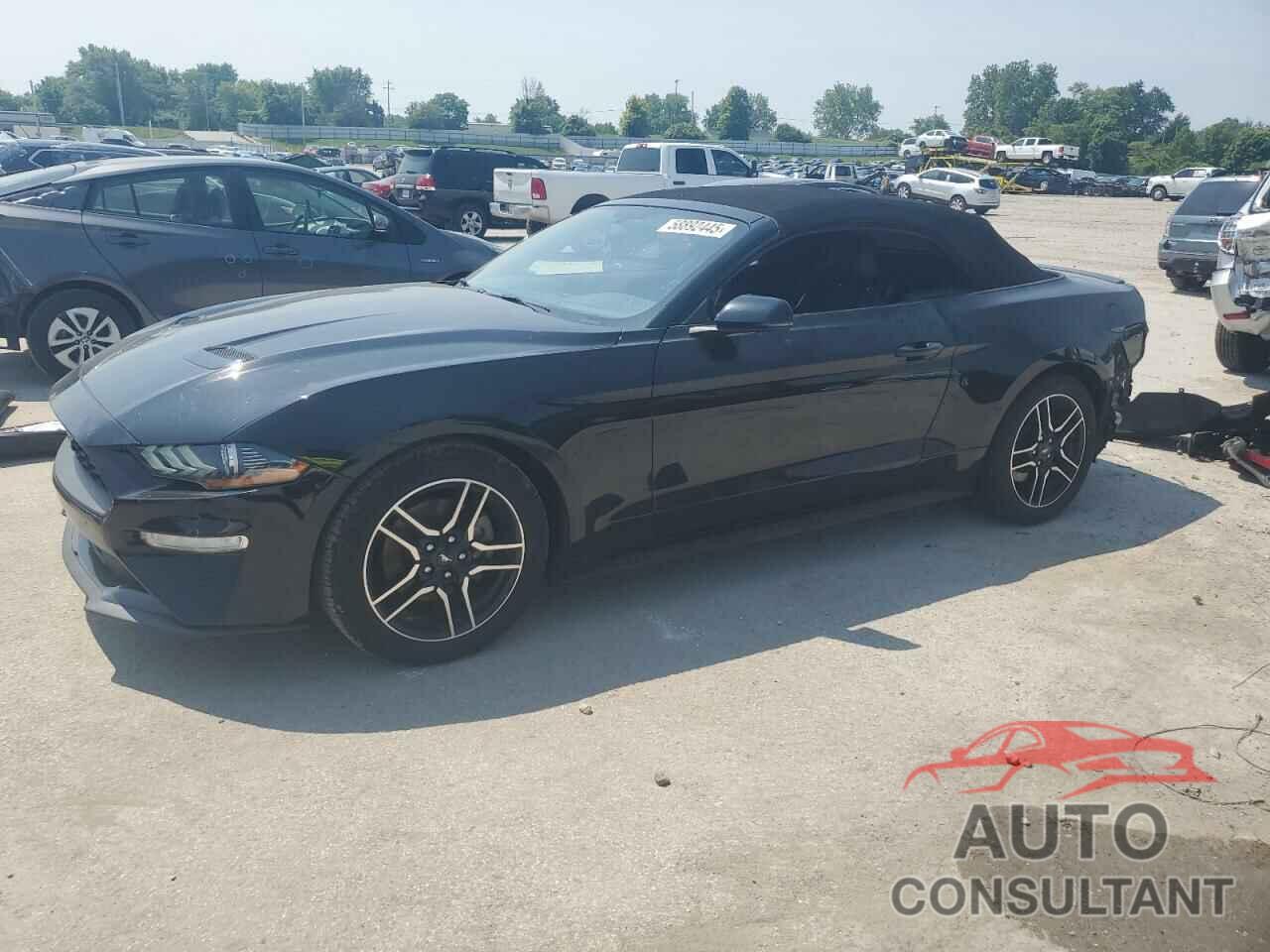 FORD ALL Models 2019 - 1FATP8UH2K5181699