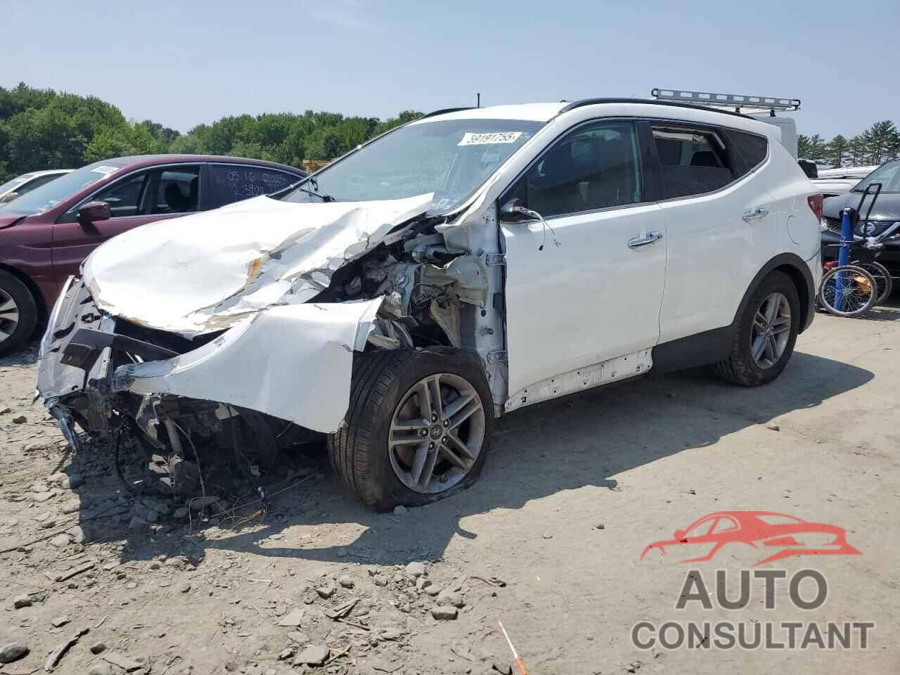 HYUNDAI SANTA FE 2017 - 5NMZUDLB8HH028639
