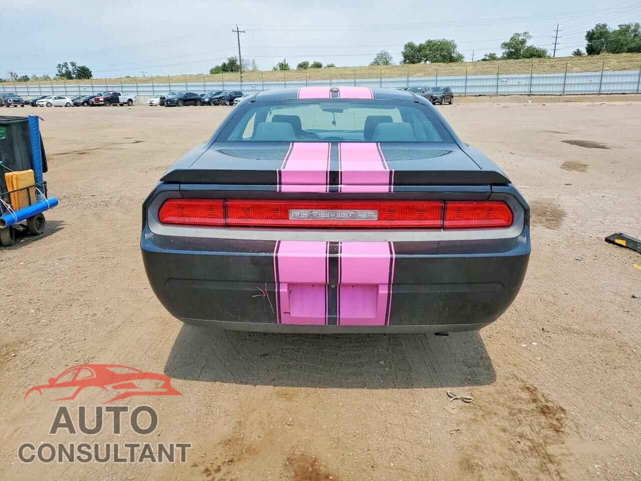 DODGE CHALLENGER 2010 - 2B3CJ4DVXAH240789