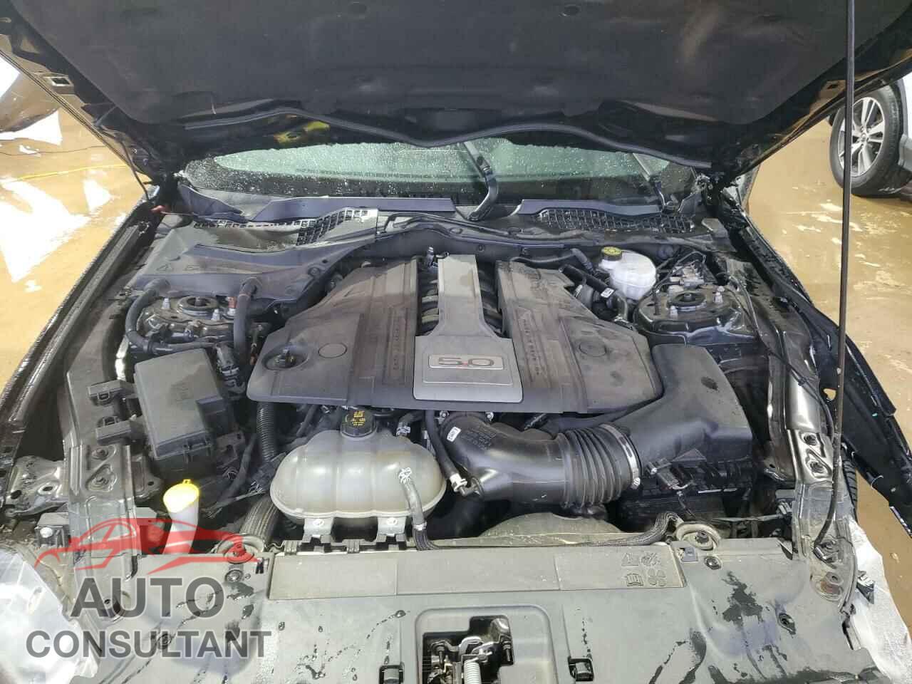 FORD MUSTANG 2019 - 1FA6P8CF9K5146803