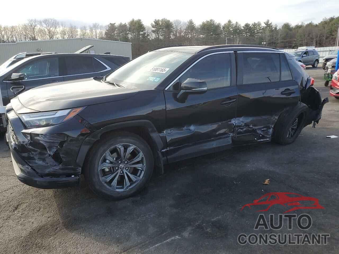 TOYOTA RAV4 2024 - 2T3B6RFV8RW074922