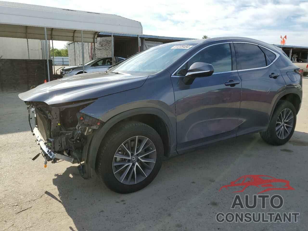 LEXUS NX 350 2023 - 2T2GGCEZ4PC024431