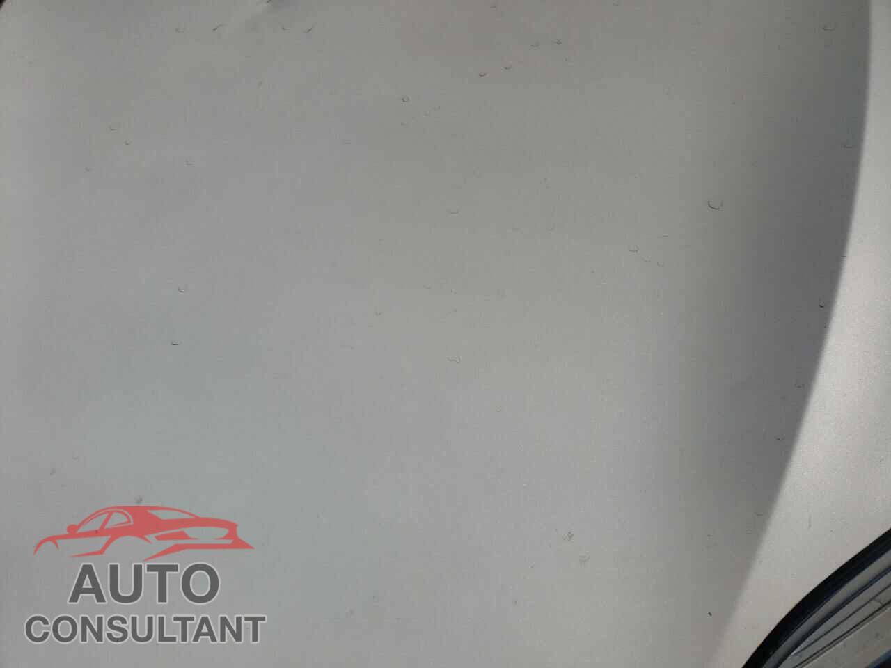 TESLA MODEL S 2019 - 5YJSA1E4XKF344172