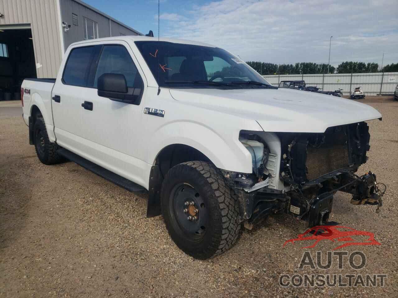 FORD F-150 2019 - 1FTEW1E58KFB40005