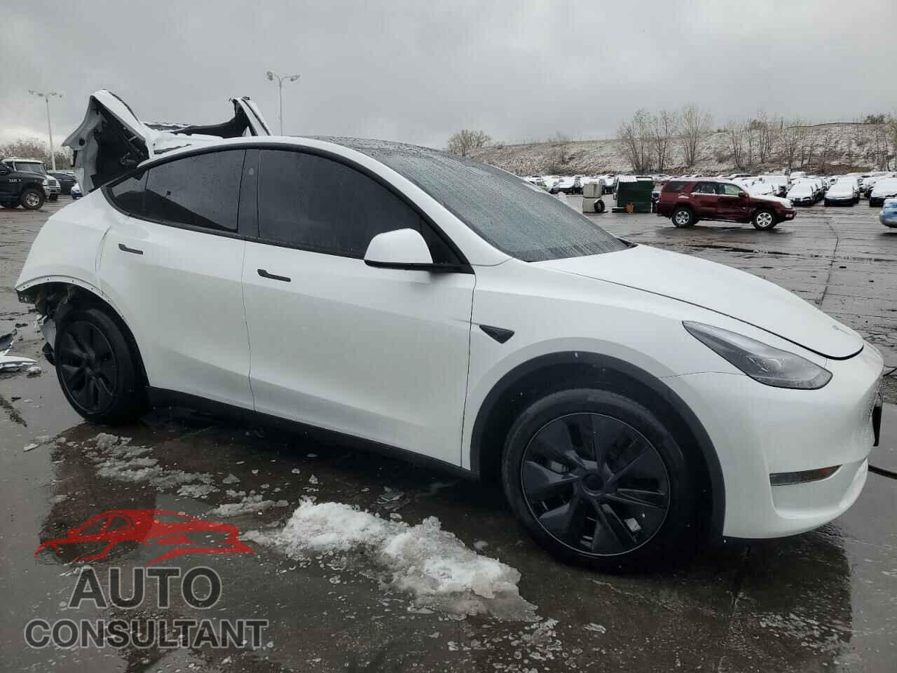 TESLA MODEL Y 2024 - 7SAYGDEE2RF160327