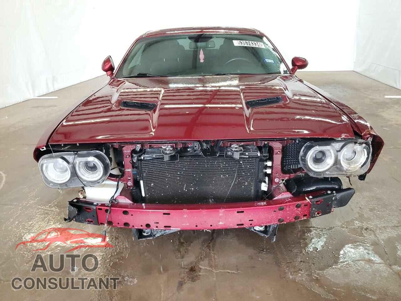 DODGE CHALLENGER 2019 - 2C3CDZAG9KH733894