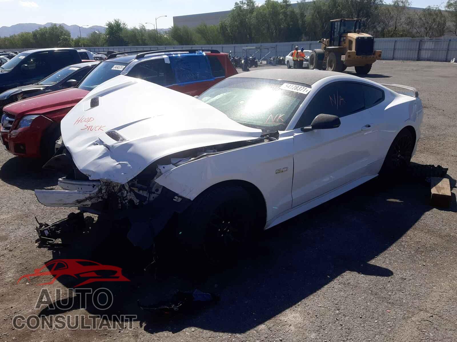 FORD MUSTANG 2019 - 1FA6P8CF8K5125828