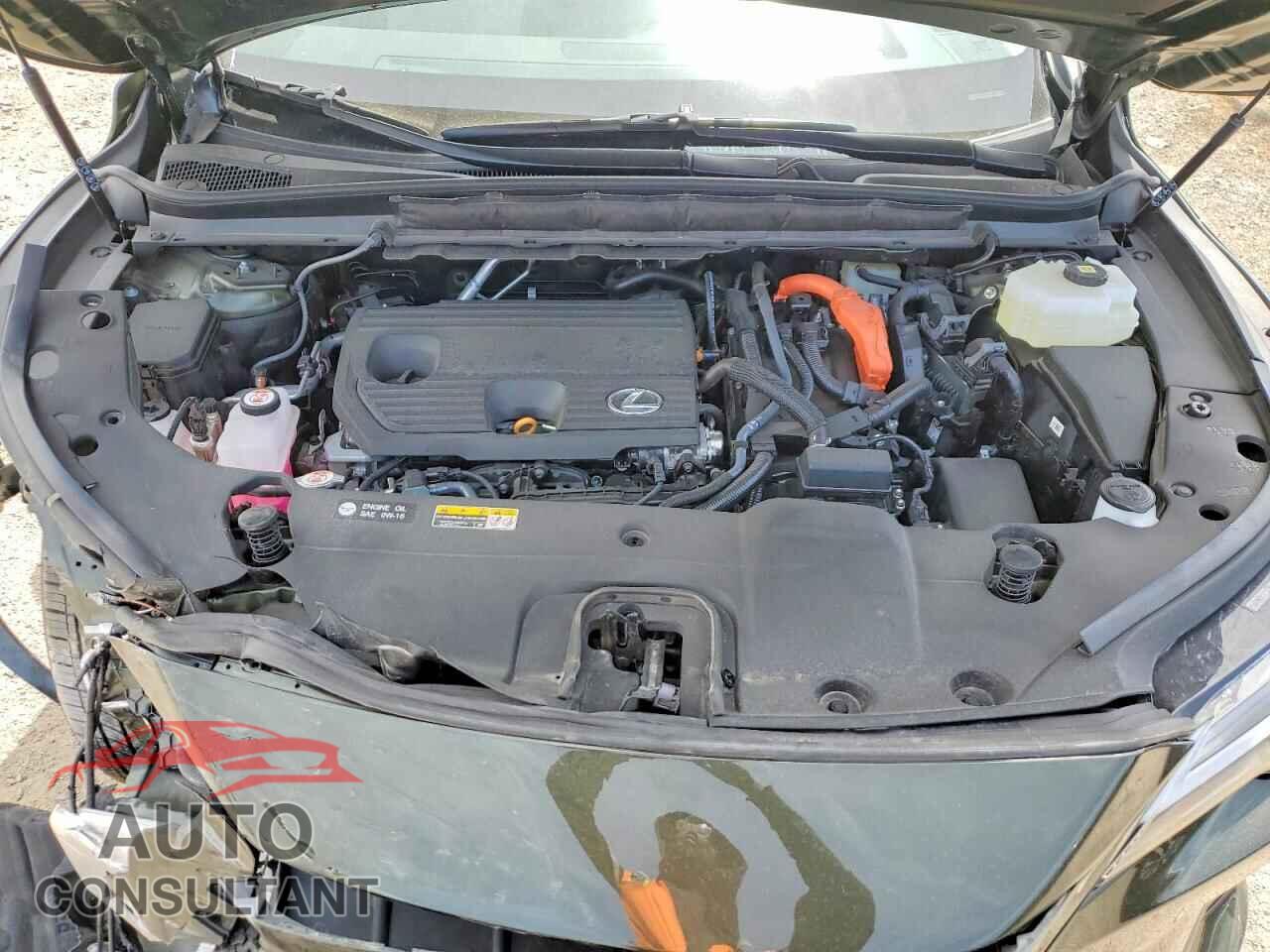 LEXUS UNKNOWN 2025 - 2T2BBMCA0SC096943