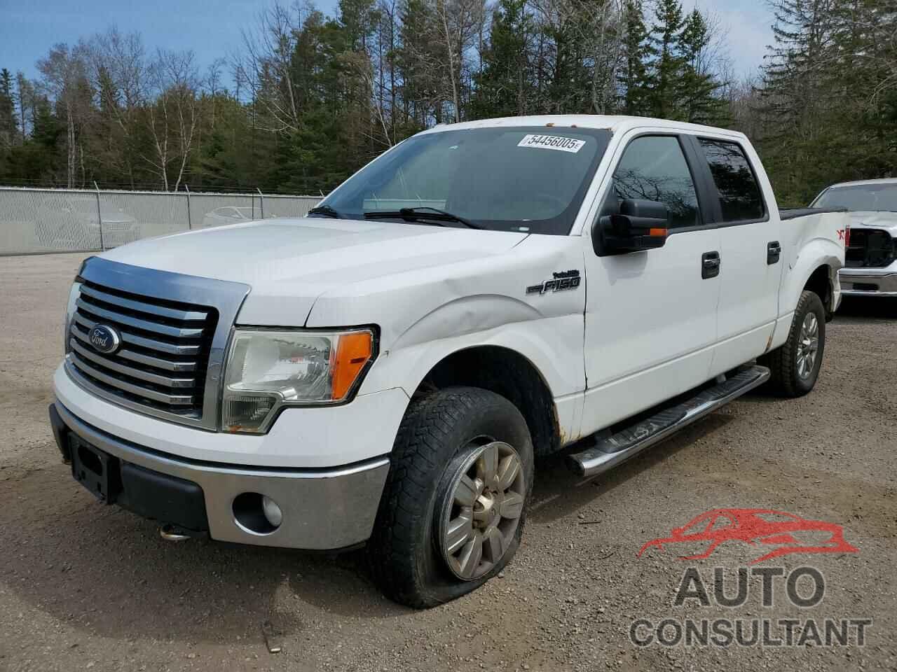 FORD F-150 2011 - 1FTFW1EF4BFC40499