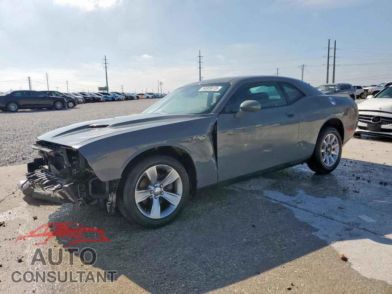 DODGE CHALLENGER 2019 - 2C3CDZAG2KH722879