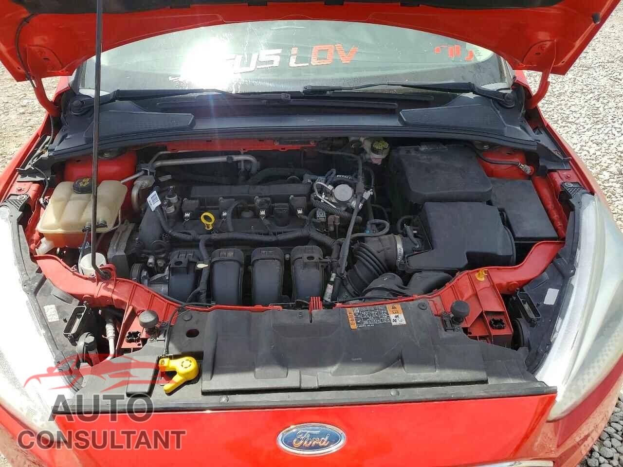 FORD FOCUS 2016 - 1FADP3F23GL371904