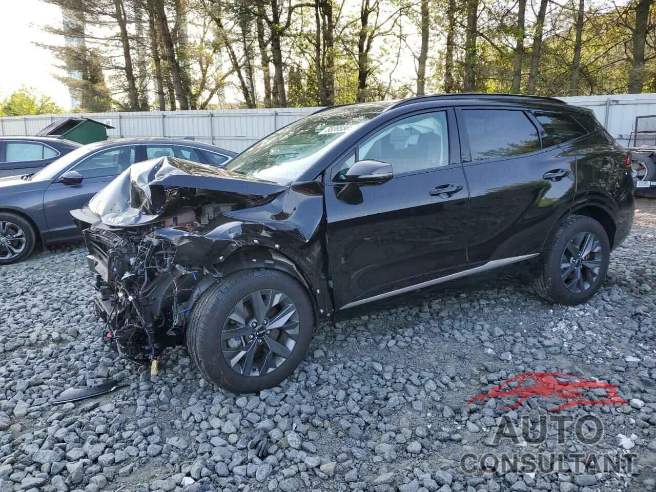 KIA SPORTAGE 2024 - KNDPXCDGXR7132125