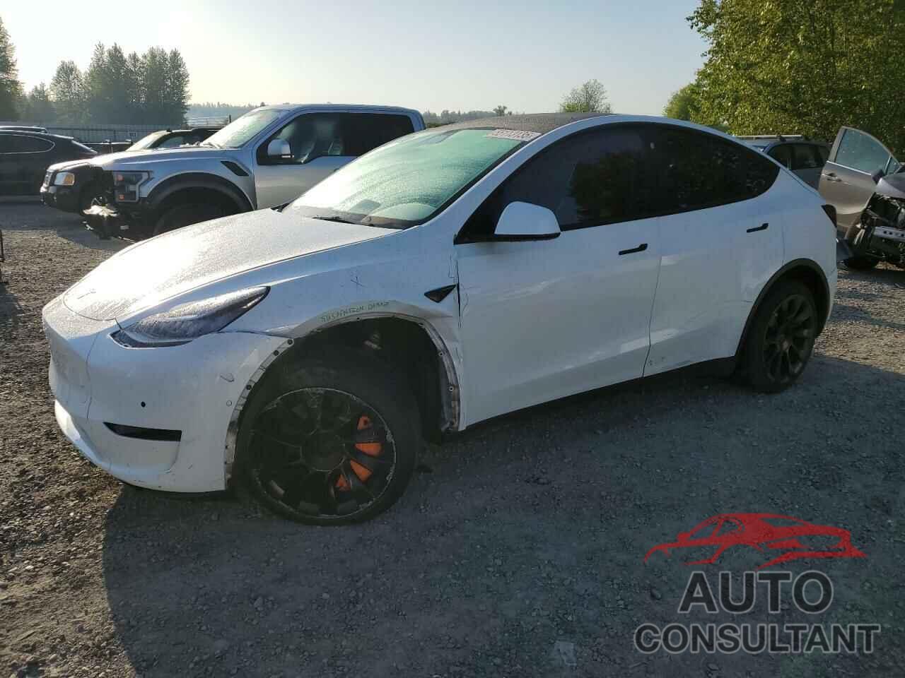 TESLA MODEL Y 2022 - 7SAYGAEE7NF376795