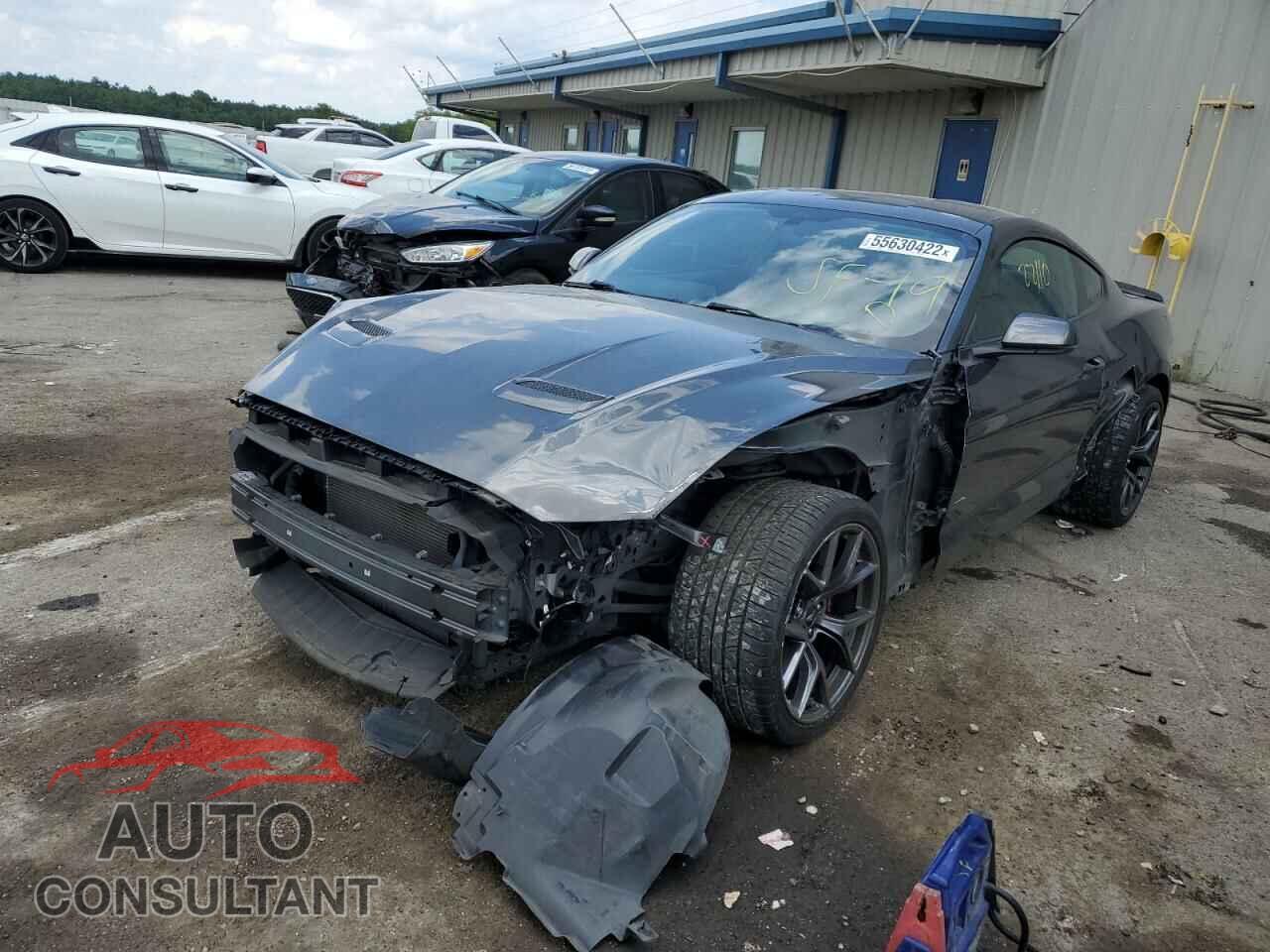 FORD MUSTANG 2019 - 1FA6P8CF1K5133155