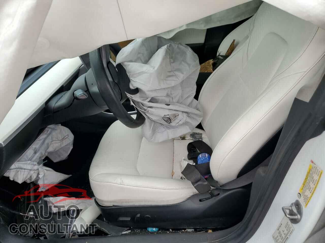 TESLA MODEL 3 2019 - 5YJ3E1EA1KF332894