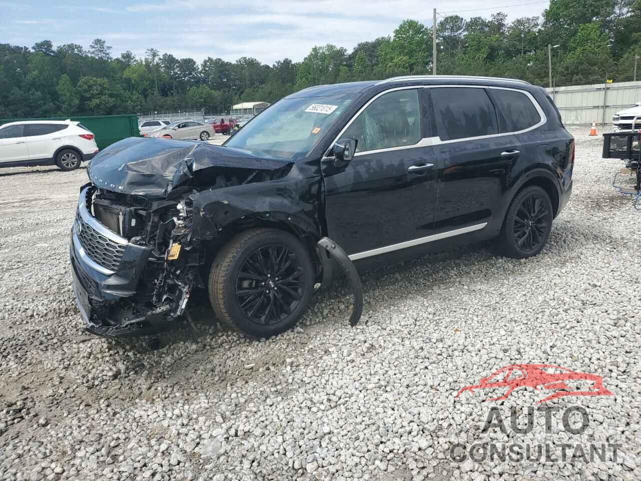 KIA TELLURIDE 2021 - 5XYP5DHC3MG174604
