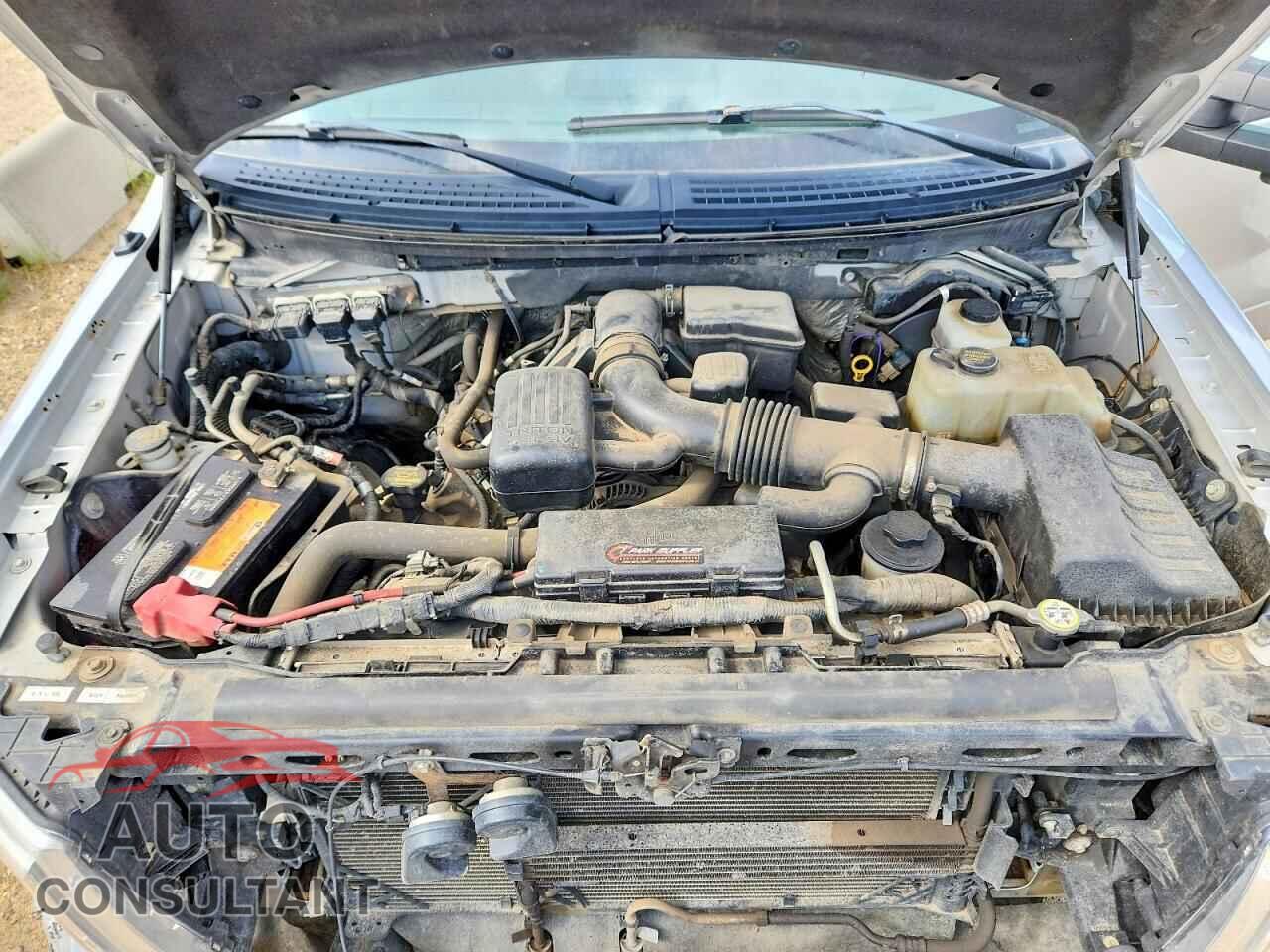 FORD F150 2010 - 1FTFX1EV3AFD34652
