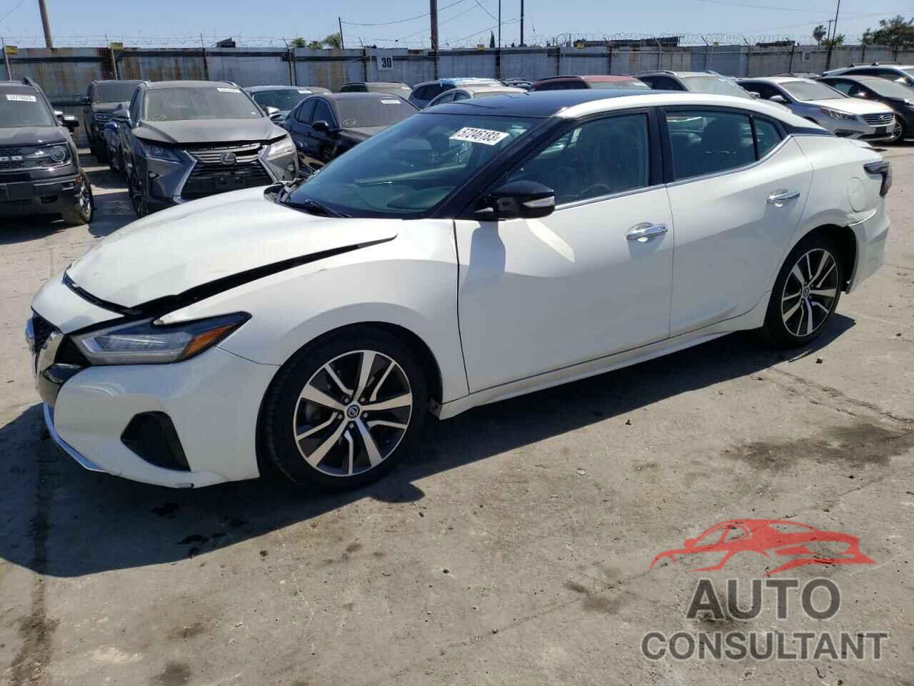 NISSAN MAXIMA 2019 - 1N4AA6AV4KC361334