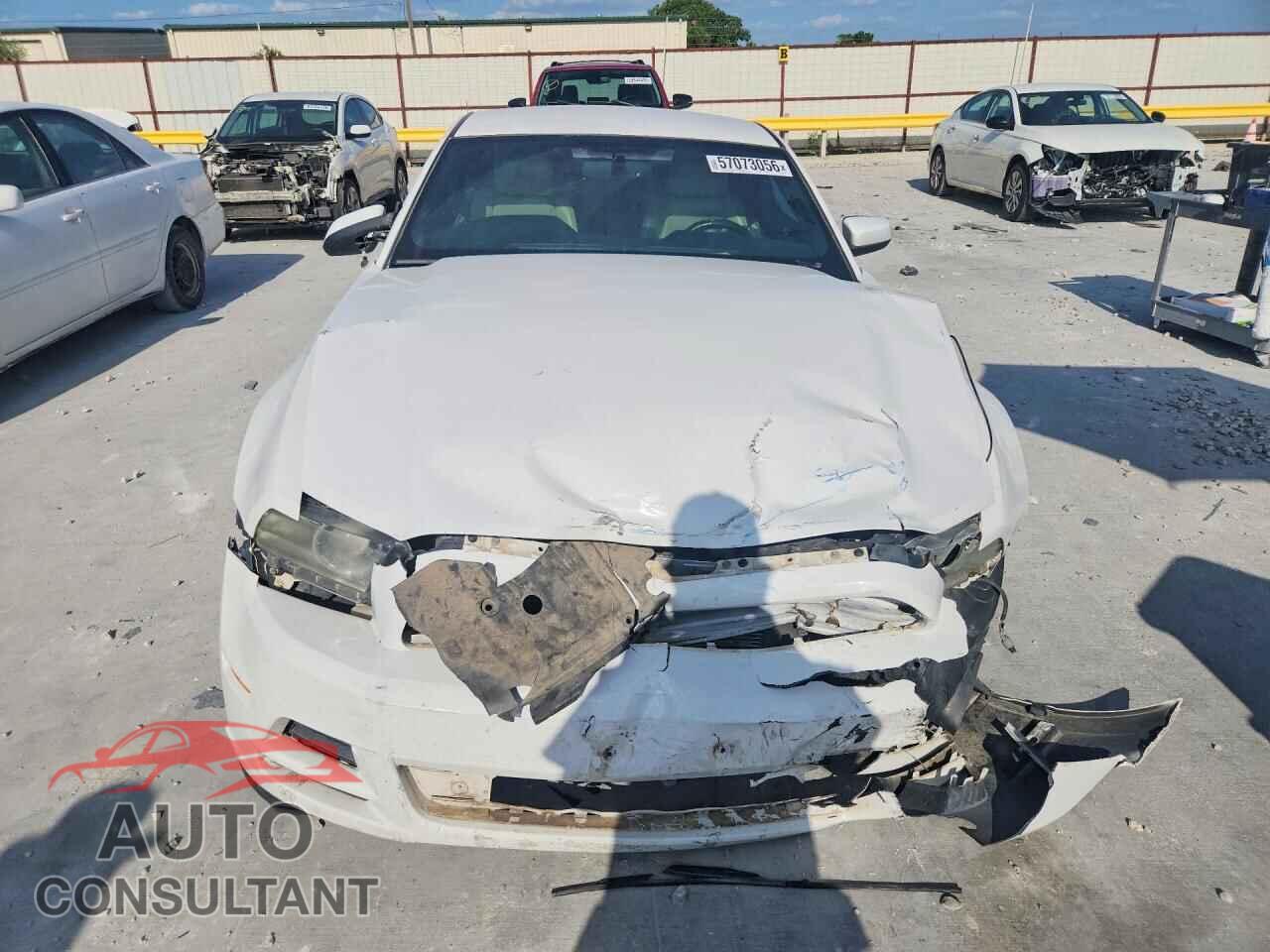 FORD MUSTANG 2014 - 1ZVBP8AM8E5201527