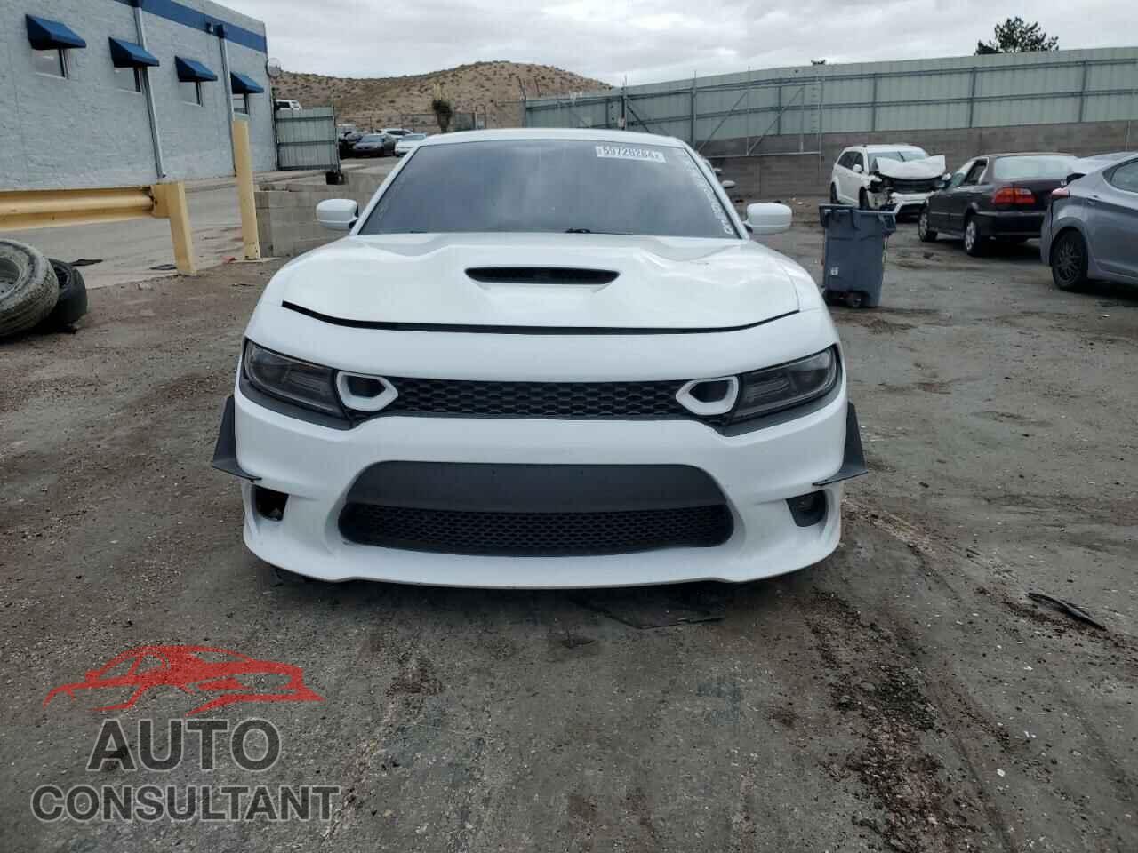 DODGE CHARGER 2019 - 2C3CDXCT8KH554311