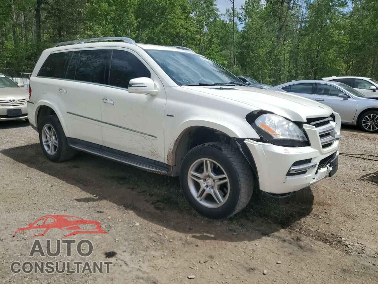 MERCEDES-BENZ GL-CLASS 2012 - 4JGBF2FE2CA787582