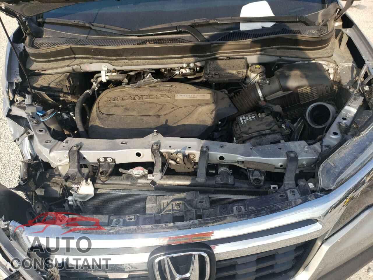 HONDA RIDGELINE 2019 - 5FPYK3F53KB040764