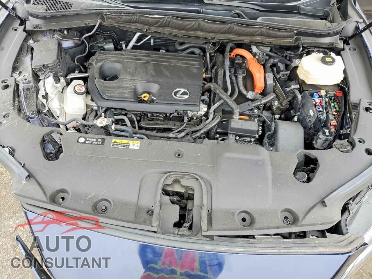 LEXUS UNKNOWN 2024 - 2T2BBMCA9RC024407
