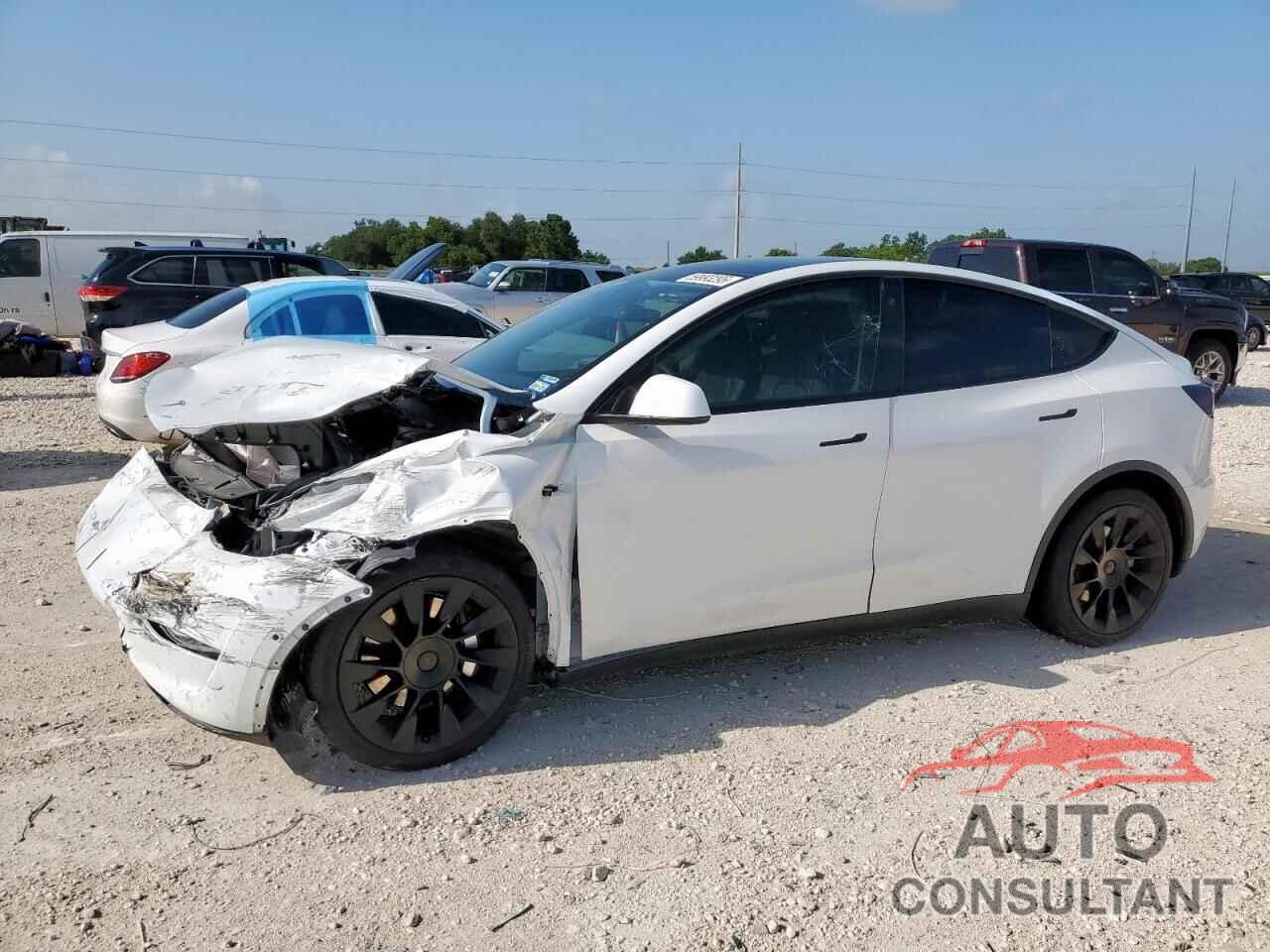 TESLA MODEL Y 2021 - 5YJYGDEE8MF186002