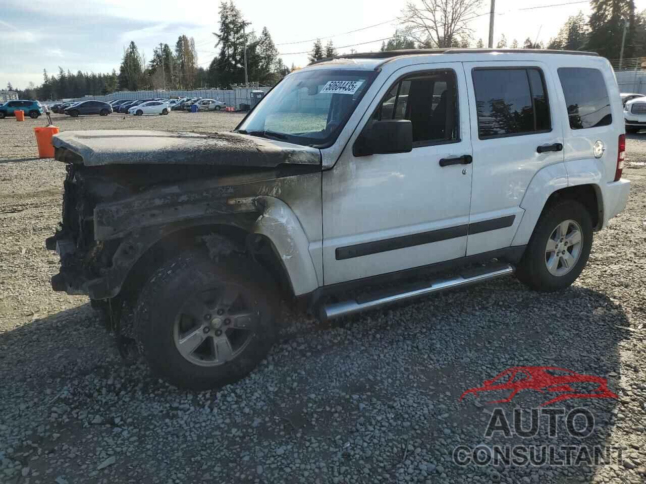 JEEP LIBERTY 2011 - 1J4PP2GK2BW521650