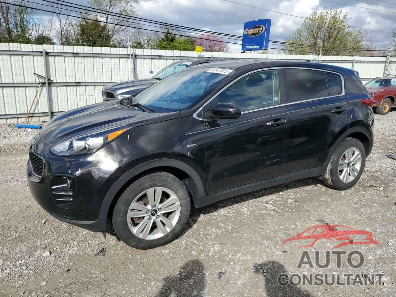 KIA SPORTAGE 2017 - KNDPMCAC5H7128024