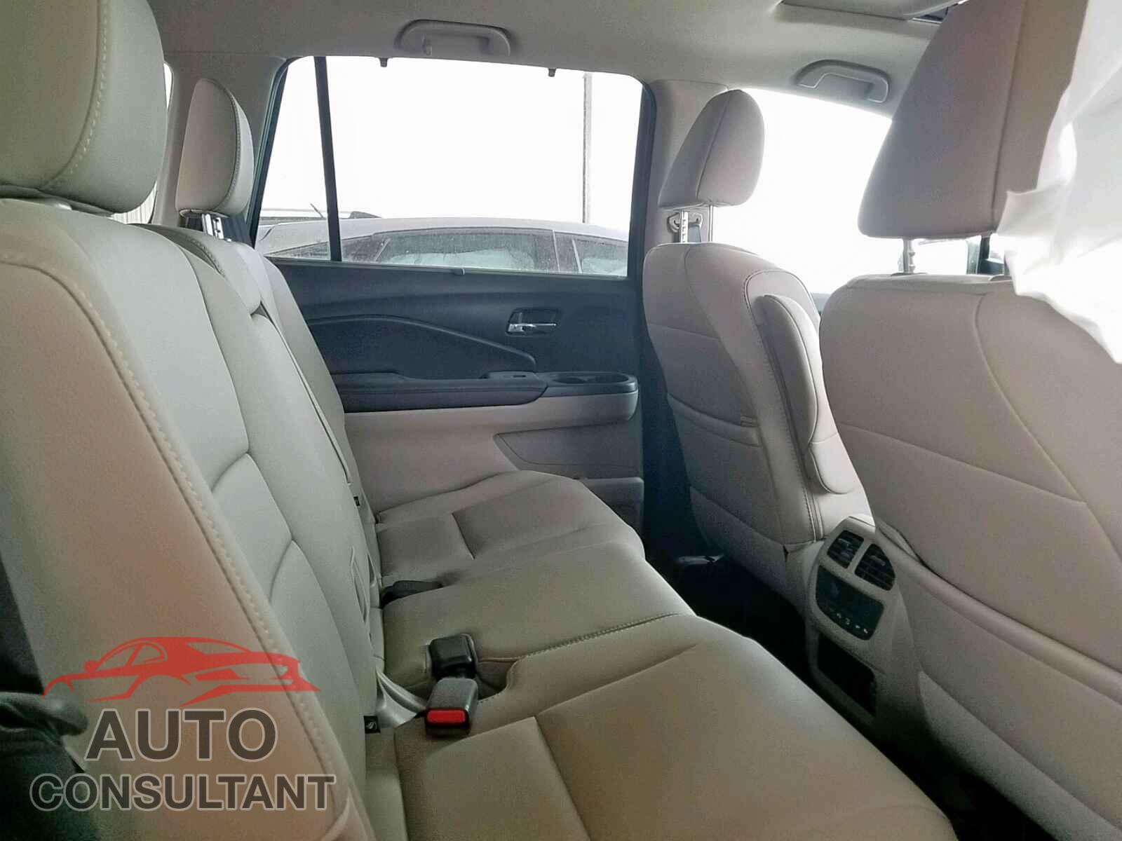 HONDA PILOT 2019 - 5FNYF5H52KB026960