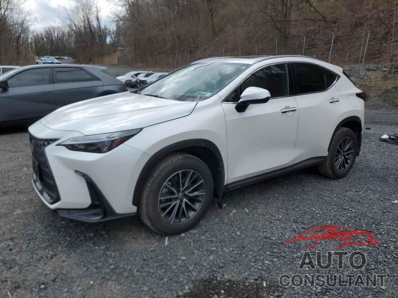 LEXUS NX 350 BAS 2025 - 2T2AGCEZ7SC069846