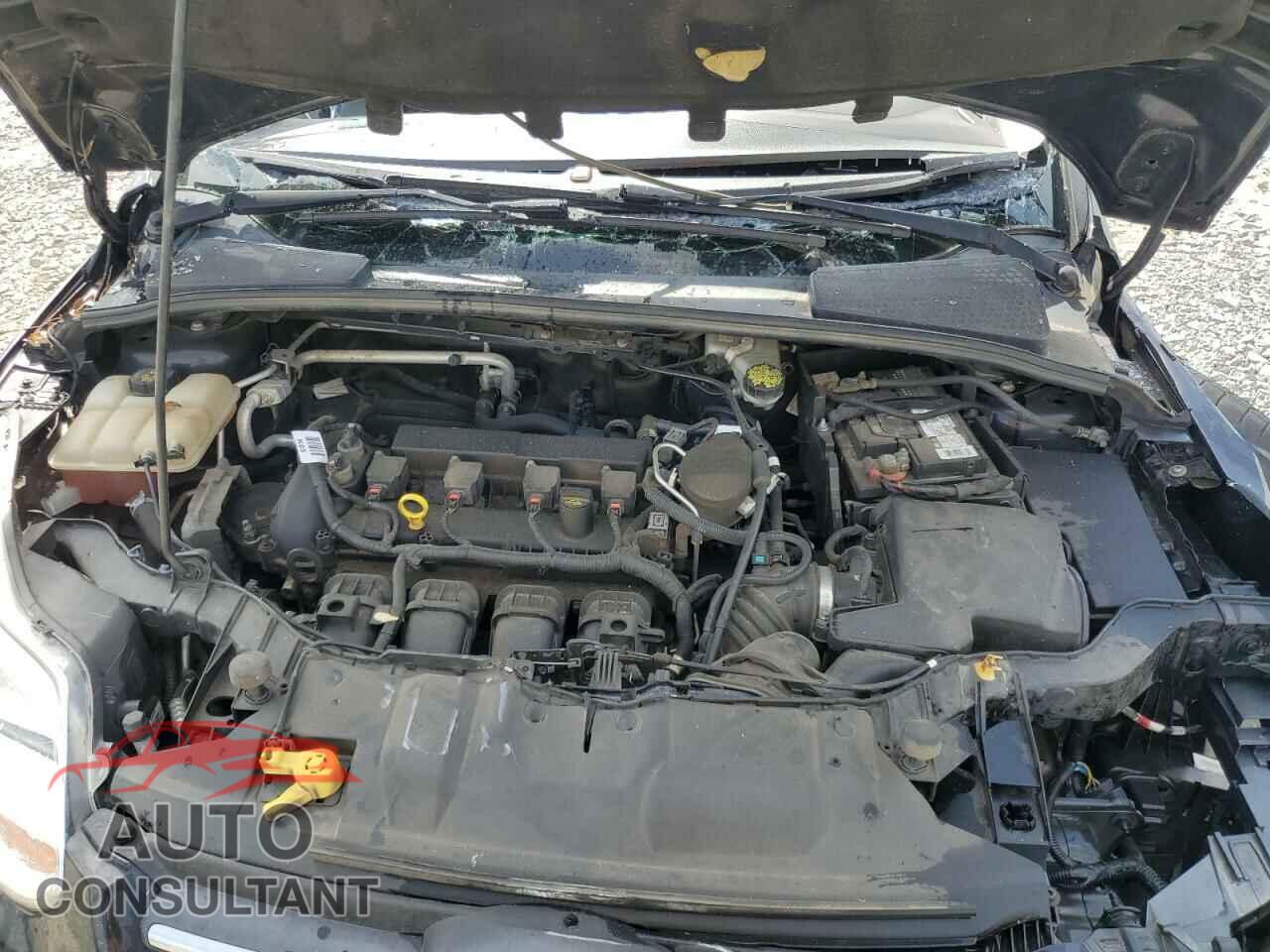 FORD FOCUS 2014 - 1FADP3F29EL463077